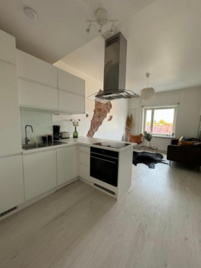 Loft Elephant Pori